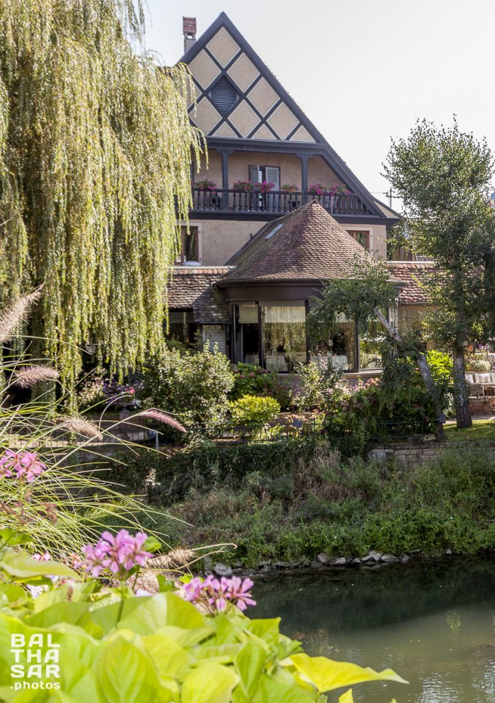 00 BALTHASAR PHOTOS Auberge Ill 2016 09 24 4826 Copie E1607287288918 721x1024