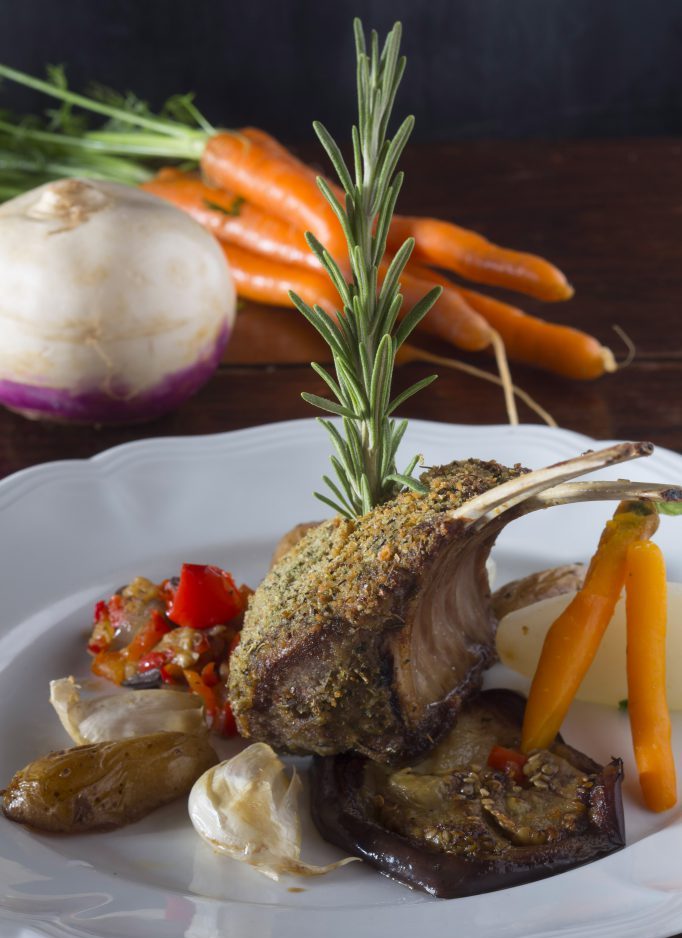 MR FR 57 3223 683x1024 1 E1721038314782