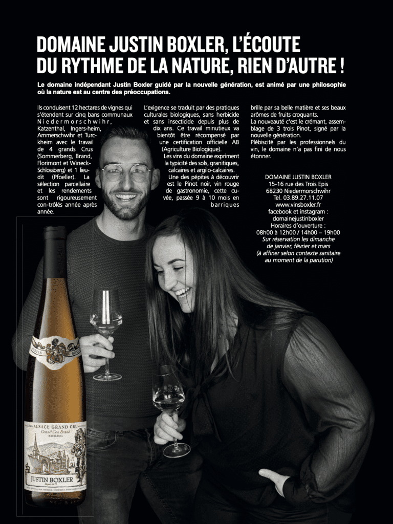 MQT TT 2022 PUB BOXLER 768x1024